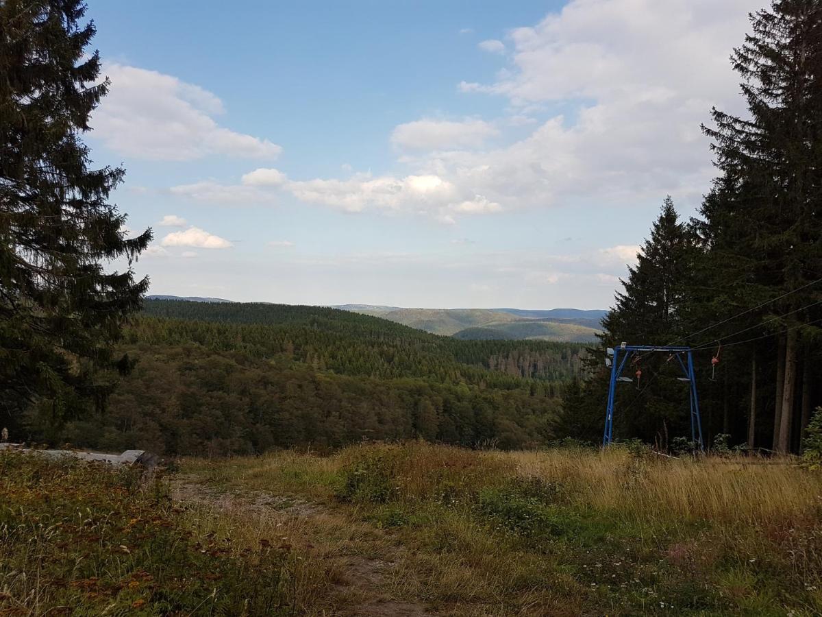 Ferienwohnungen Harz - Wieda Eksteriør bilde